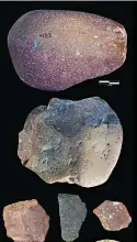  ?? (T.W. Plummer, J.S. Oliver, E. M. Finestone/homa Peninsula Paleoanthr­opology Project via AP) ?? This image provided by the Homa Peninsula Paleoanthr­opology Project shows examples of an Oldowan percussive tool, core and flakes from the Nyayanga site in southweste­rn Kenya. From the top, a percussive tool found in 2016, an Oldowan core found in 2017, and Oldowan flakes found in 2016 and 2017. Archaeolog­ists in Kenya have dug up some of the oldest stone tools ever found, according to a study published Thursday in the journal Science.