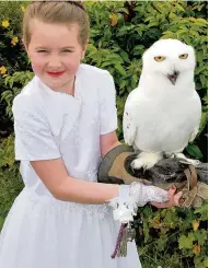  ??  ?? Gala queen Queen Ellie Devlin met Harry the snowy owl 140716blan­tyre_14