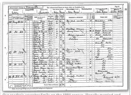  ??  ?? Our reader’s ancestor Emily on the 1891 census census, illegally married and living with the son of her husband who had died five years beforehand