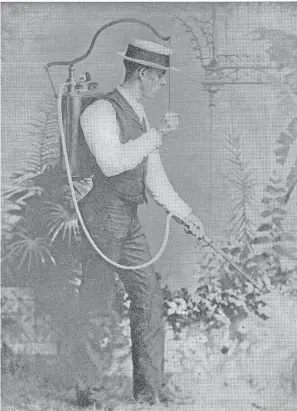  ??  ?? Fairchild’s early days with the Department of Agricultur­e, here in 1889, involved testing equipment such as this knapsack sprayer. FAIRCHILD TROPICAL BOTANIC GARDEN