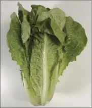  ??  ?? This undated photo shows romaine lettuce in Houston. On Friday the U.S. Centers for Disease Control and Prevention said four more deaths have been linked to a national romaine lettuce food poisoning outbreak, bringing the total to five. STEVE...