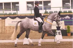  ??  ?? ‘He ended up like a starfish in the road’: Gary Foggon wins the novice freestyle on Who’s A Boozer, who has recovered from a road accident