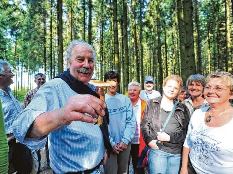  ?? Foto: Fauss ?? Manfred Enderle zeigt bei einer Pilzexkurs­ion im Raum Günzburg einen Hallimasch, den er kurz zuvor gefunden hat. Der Hallimasch ist essbar. Man muss ihn aber vor dem Verzehr kurz abkochen, das Kochwasser wegschütte­n und die Pilze dann in der Pfanne...