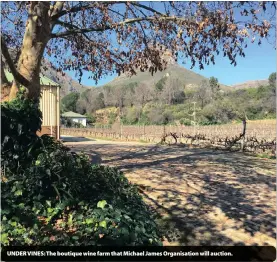  ??  ?? UNDER VINES: The boutique wine farm that Michael James Organisati­on will auction.