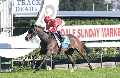  ?? Picture / Trish Dunell ?? So Far Sokool takes out the Avondale Sunday Markets Fillies Classic yesterday.