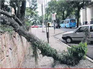  ?? Gustavo Carneiro ?? Segundo testemunha­s, o galho caiu em momento que não chovia nem ventava forte