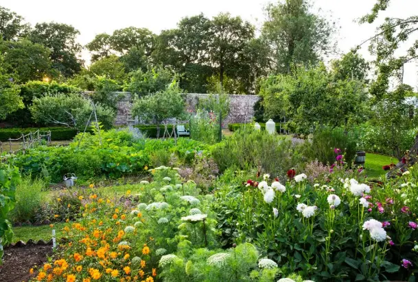  ??  ?? ABOVE The 300-yearold walled garden is brimming with flowers and vegetables BELOW Owner Sandy Coppen OPPOSITE, CLOCKWISE FROM TOP LEFT Malope trifida ‘Vulcan’; Cox’s Orange Pippin; red chard; Cosmos sulphureus ‘Bright Lights’; pom-pom dahlia; Cosmos ‘Purity’; sunflower ‘Vanilla Ice’; blueberry ‘Blue Crop’; globe artichoke flower