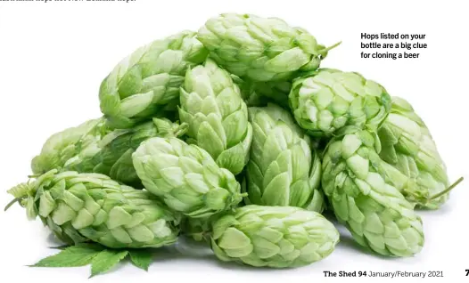  ??  ?? Hops listed on your bottle are a big clue for cloning a beer