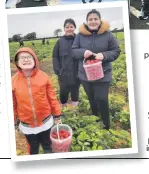  ??  ?? Outdoors Children and young people
went strawberry picking earlier in the summer