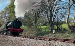  ?? IAN HIGGINS/BWR ?? This lineside pheasant was determined not to hang around for too long at Charlie’s Gate, as the 11am departure from Bodmin Parkway behind Bagnall WD Austerity 0-6-0ST No. 75178 approached.