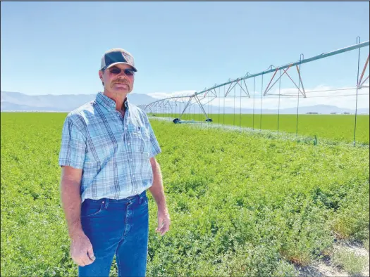  ?? KALEB ROEDEL / MOUNTAIN WEST NEWS BUREAU VIA ASSOCIATED PRESS (2022) ?? Marty Plaskett, a hay farmer in Diamond Valley, stands near an irrigation pivot used to water his alfalfa field Sept. 2, 2022. Landowners like Plaskett may soon consider selling off their water rights under the Voluntary Water Rights Retirement Program. The plan is aimed at groundwate­r basins that are overpumped and overapprop­riated in northern and central Nevada communitie­s.