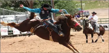  ?? Photo by Ted Harbin ?? Jake Finlay, the 2018 college national champion saddle bronc rider from Oklahoma Panhandle State, competes at the 2016 Guymon Pioneer Days Rodeo during his rookie season in ProRodeo.