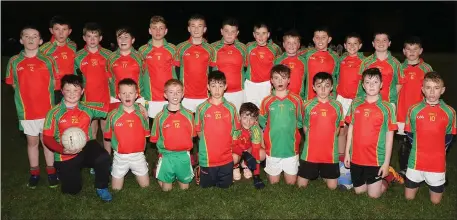  ??  ?? The title-winning squad from St. Aidan’s (Enniscorth­y).