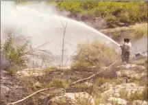  ??  ?? Firefighte­rs dousing the flames during last year’s blaze