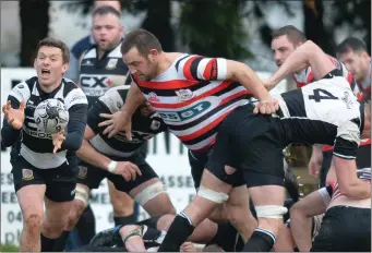  ??  ?? The Enniscorth­y pack moves in as Dundalk’s Mike Walls releases the ball to his back line.