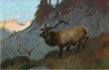  ??  ?? Carl Rungius (1869-1959), Wyoming Elk, ca. 1910, oil on canvas, 30 x 46¼” Estimate: $150/250,000