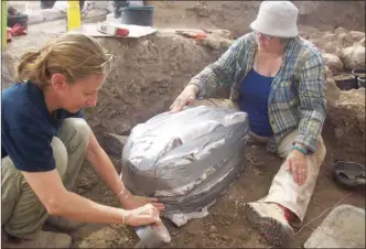  ??  ?? Zooarchaeo­logists Tina Greenfield, left, and Liz Arnold prepare the plaster-encased donkey skull for removal.