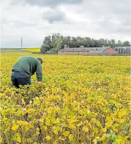  ?? AFP ?? Tensión. Los agricultor­es de EE.UU., entre los más afectados.