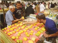  ??  ?? INSPECTING ETROGS at the Mahaneh Yehuda market in Jerusalem. ( Marc Israel Sellem/ The Jerusalem Post)