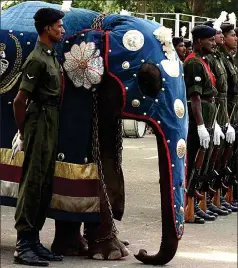  ??  ?? Jumbo: Mascot of Sri Lanka army Gajaba Regiment