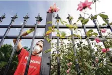  ?? ?? Nate Reagle paints a fence outside Maria Garza’s home. Repairs made by the nonprofit help keep families in homes.