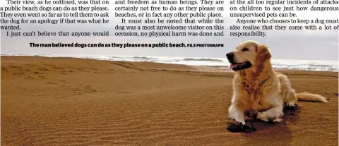  ?? FILE PHOTOGRAPH ?? The man believed dogs can do as they please on a public beach.