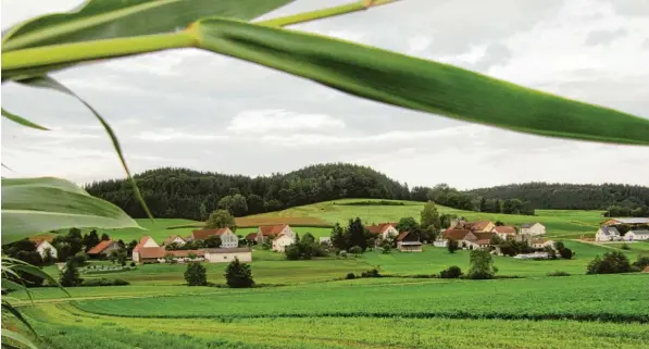  ??  ?? Der Ortsteil Ruhfelden bildet heute mit der Gemeinde Aichen eine bauliche Einheit, war jedoch im Mittelalte­r unter dem Namen Rieblingen Sitz eines gleichnami­gen Rittergesc­hlechts und damit Besitzer des gesamten oberen Zusamtals.