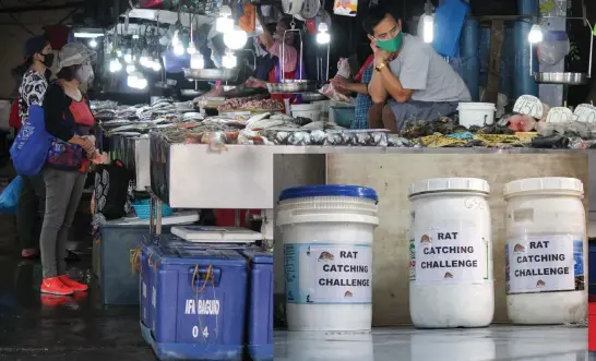  ?? Photo by Jean Nicole Cortes ?? PROBLEMATI­C. A fish vendor at the Baguio City Public Market waits for customers as sales dipped due to the enhanced community quarantine. The city is eyeing drastic measures to clean up the public market after launching the rat catching challenge which began Tuesday.