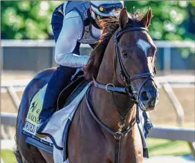  ?? Skip Dickstein / Special to the Times Union ?? Preakness entrant Crowded Trade, trained by Mechanicvi­lle native Chad Brown, is 10-1 on the morning line in the second leg of the Triple Crown.