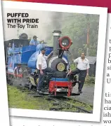  ??  ?? PUFFED WITH PRIDE The Toy Train
