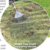  ??  ?? SCARIFYING STUFF Use a spring-tine rake