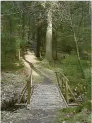  ??  ?? Die Läusegrund­quelle im Zeitzgrund, das Foto wurde eingesende­t von Margot Martin aus Görkwitz. Liebe Leser, vielen Dank für die Fotoideen. Gelingt auch Ihnen ein originelle­s oder witziges Foto zu Hause, im Garten oder auf Reisen, senden Sie es an...