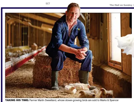  ?? ?? taking his time: Farmer Martin Sweetland, whose slower-growing birds are sold to Marks & Spencer