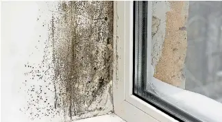  ??  ?? By pushing water into a room, evaporativ­e coolers could compound issues with mould, Consumer New Zealand says.