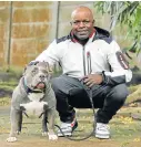  ?? Pictures: BARBARA HOLLAND ?? PATIENT MODEL: Wire and bead artist Great Matere strokes an American Bully. A bull terrier inspired one of his creations, right.