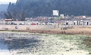  ??  ?? De acuerdo con los ejidatario­s de la zona, durante la última temporada de lluvias se multiplicó de forma importante la cantidad de lirio, lo que impidió retirar aún más la suciedad del lugar; además, en diciembre los muchos visitantes abonaron a...