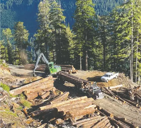  ??  ?? B.C.'s forestry industry is facing many challenges that require a collective effort to overcome, writes Bob Brash.