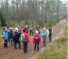  ??  ?? STF Södra Halland har genomfört en höstvandri­ng i Tjärby
• sanddynsre­servat. Ett 20-tal deltagare hade slutit upp i det något grå men friska höstvädret. Reservatet är ett gammalt flygsandsf­ält och vi gick över sanddyner av olika storlek i en vacker tallskog. Under tallarna breder täta mattor av olika slags risväxter, renlav och bägarlav ut sig. En för många annorlunda miljö.