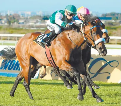  ?? Picture: Wayne Marx ?? HAS THE EDGE. Talitha Borealis has a good draw in Race 6 at Durbanvill­e tomorrow and that could help her defeat Rubyana for the second successive time.