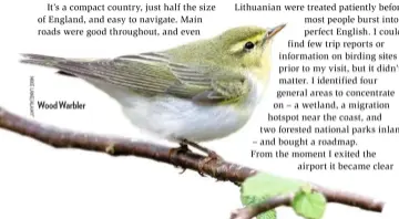  ??  ?? Wood Warbler