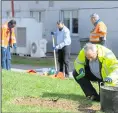  ??  ?? Planting gets underway at Allington incinerato­r