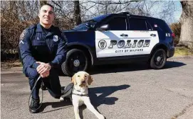  ?? Ned Gerard/Hearst Connecticu­t Media ?? Milford police officer James Cox with K9 officerWin­ston at the Milford Police Academy on Monday.