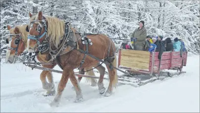  ?? MICHAEL NESBITT/JOURNAL PIONEER ?? A two-horse open sleigh was a popular attraction during the Sunday afternoon activities of the Tyne Valley Winter Carnival. Driver Ray Bulger guided horses Emma and Bill along the tree-lined route, replete with a fresh layer of fluffy snow to...