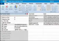  ??  ?? Hash Suite Free knackt mit Brute-Force-Methoden Passwörter von Windows-Benutzerko­nten.