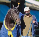  ?? JULIO CORTEZ/ASSOCIATED PRESS ?? Kentucky Derby winner Medina Spirit is one of two Preakness entries trained by Bob Baffert that will be subjected to a series of additional drug tests prior to Saturday’s race.