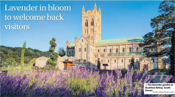  ?? Abbey Media Studios ?? > The lavender garden at Buckfast Abbey, South DevonBuckf­ast