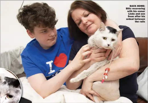  ?? Picture: PHIL HARRIS ?? BACK HOME: Blitz recovering with his owner Linda and son Sean after his ordeal between the rails