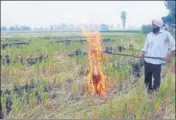  ?? HT FILE ?? As many as 13 districts have been identified as hotspots of stubble burning in Punjab and Haryana through satellite technology.