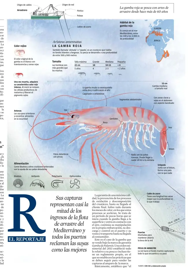  ??  ?? FUENTE: ICM-CSIC y elaboració­n propia