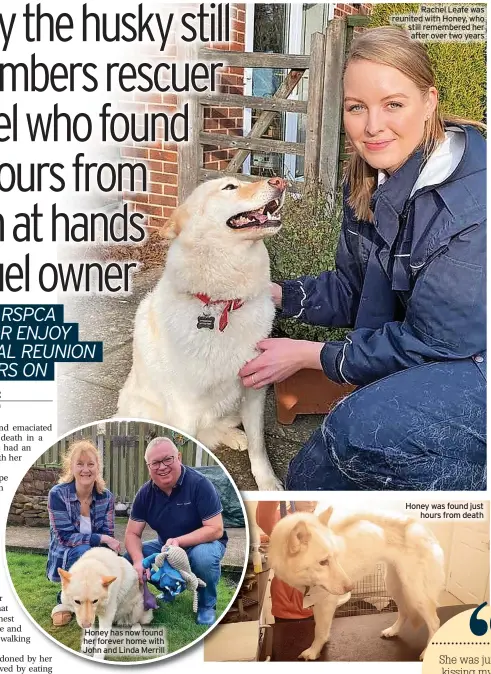  ?? ?? Honey has now found her forever home with John and Linda Merrill
Rachel Leafe was reunited with Honey, who still remembered her after over two years
Honey was found just hours from death